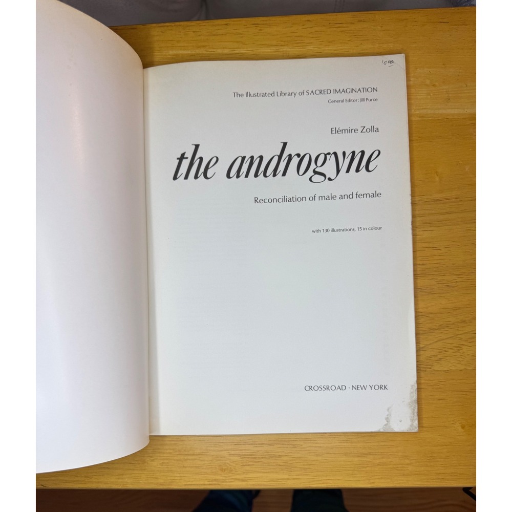 The Androgyne by Elemiere Zolla Illustrated Book Reconciliation Male Female 1981 - Picture 2 of 10